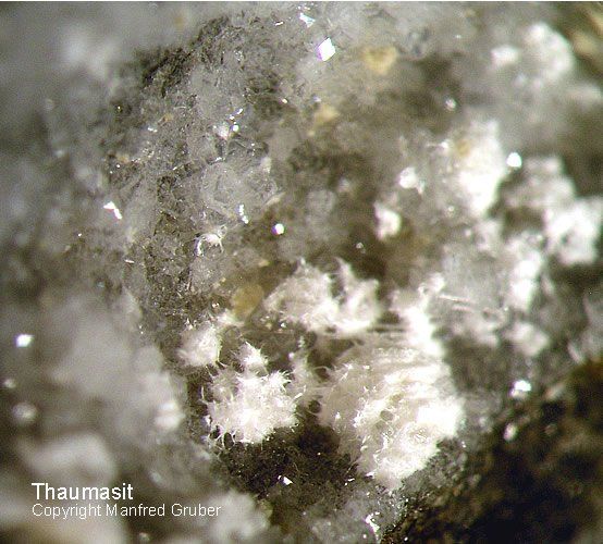 Vogelsberg Mineralien Gaulsberg Thaumasit