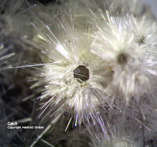 Vogelsberg Mineralien Gaulsberg Calcit
