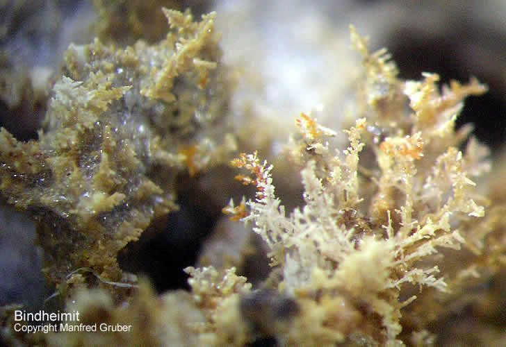 Sauerland Mineralien Genna Letmathe Oxyplumboroméit Bindheimit