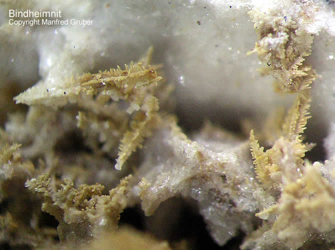 Sauerland Mineralien Genna Letmathe Oxyplumboroméit Bindheimit