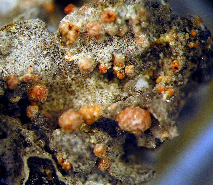 Sauerland Mineralien Genna Letmathe Hidalgoit