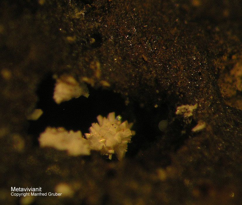Sauerland Mineralien Genna Letmathe MetaVivianit