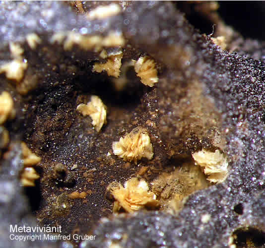 Sauerland Mineralien Genna Letmathe MetaVivianit
