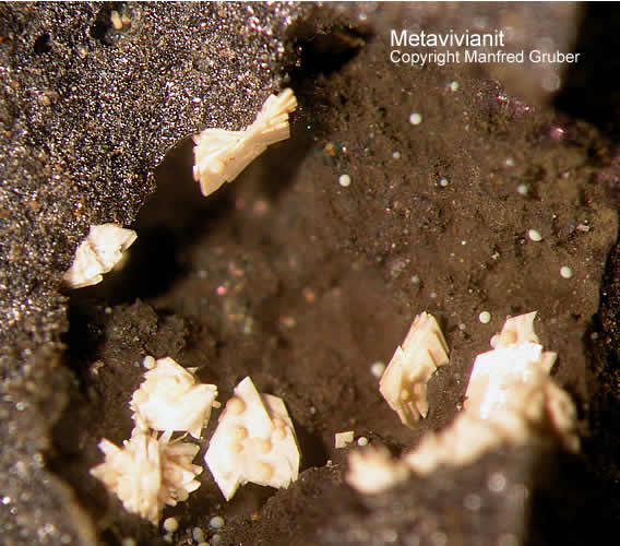 Sauerland Mineralien Genna Letmathe MetaVivianit