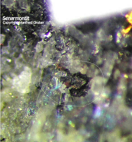 Schwarzwald Mineralien Grube Gründenwald Sénarmontit