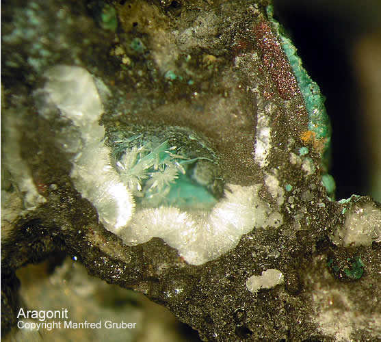 Hessen Mineralien Heddernheim Aragonit