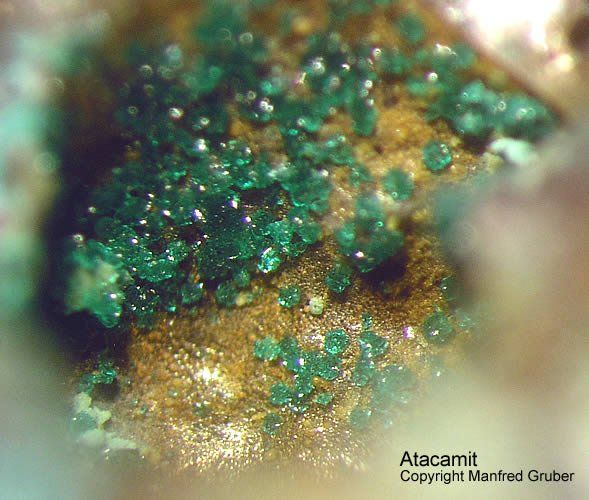 Hessen Mineralien Heddernheim Atacamit