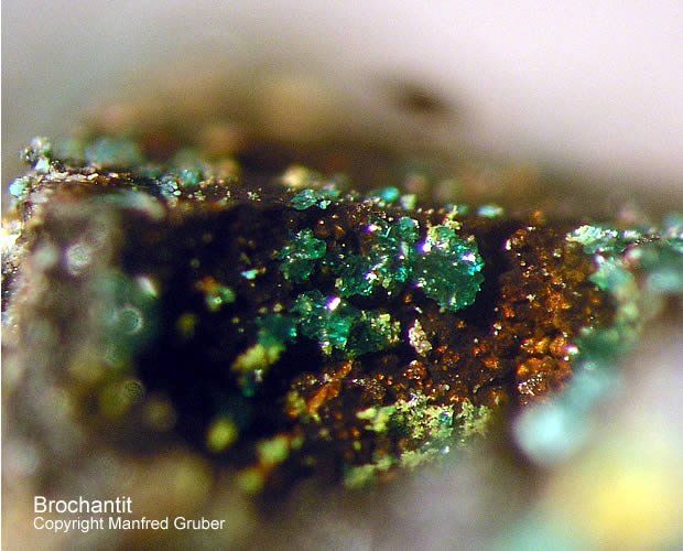 Hessen Mineralien Heddernheim Brochantit