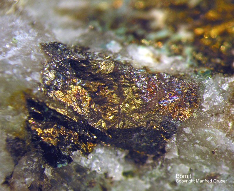 Schwarzwald Mineralien Grube Herrensegen Bornit