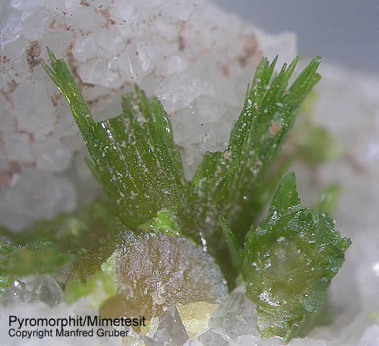 Schwarzwald Mineralien Grube Herrensegen Pyromorphit