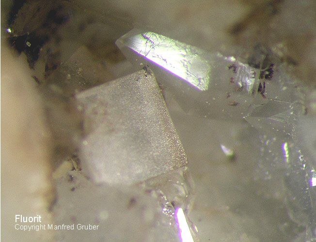 Mineralien Schwarzwald Johann am Burgfelsen Fluorit