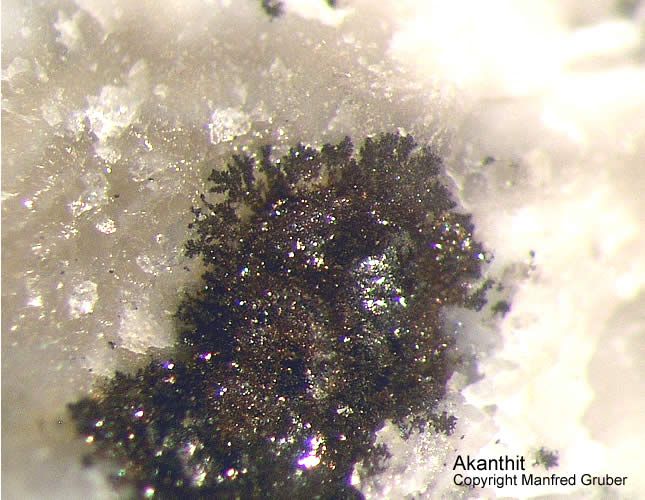 Mineralien Schwarzwald Käfersteige Akanthit