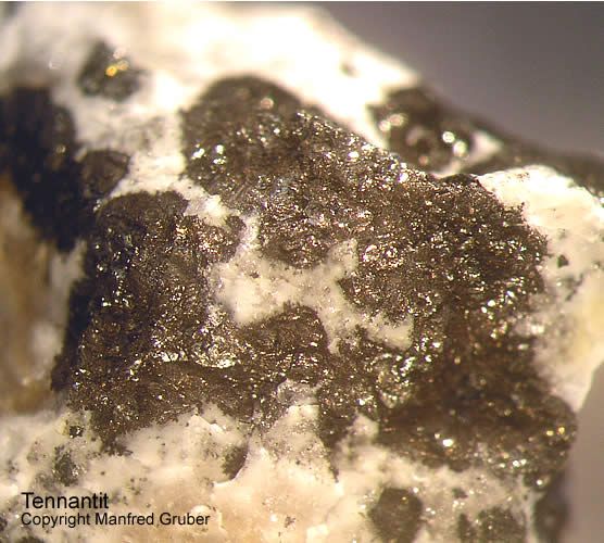 Mineralien Schwarzwald Käfersteige Tennantit