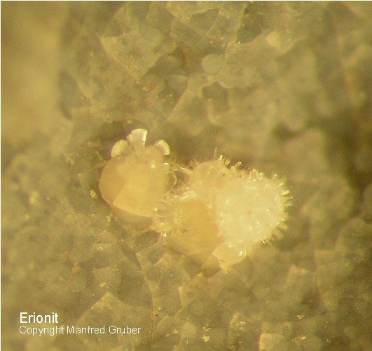 Mineralien Kaiserstuhl Limberg Erionit