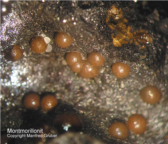 Mineralien Kaiserstuhl Limberg Montmorillonit