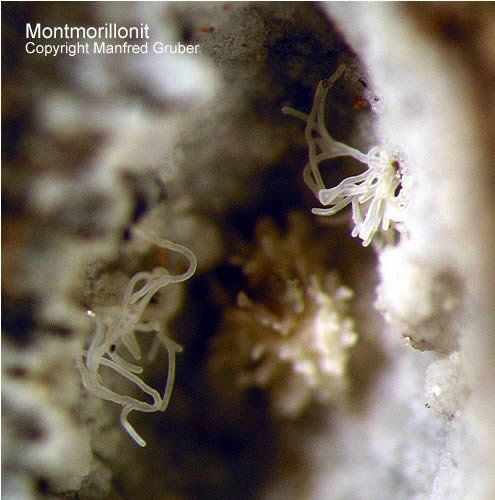 Mineralien Kaiserstuhl Limberg Montmorillonit