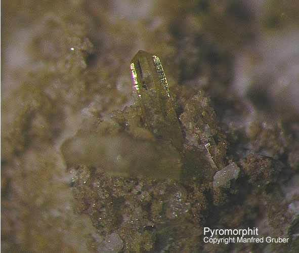 Mineralien Schwarzwald Grube Michael Pyromorphit