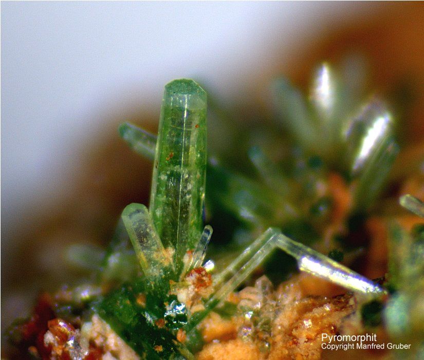 Mineralien Schwarzwald Grube Michael Pyromorphit