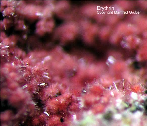 Mineralien Schwarzwald Reinerzau Erythrin