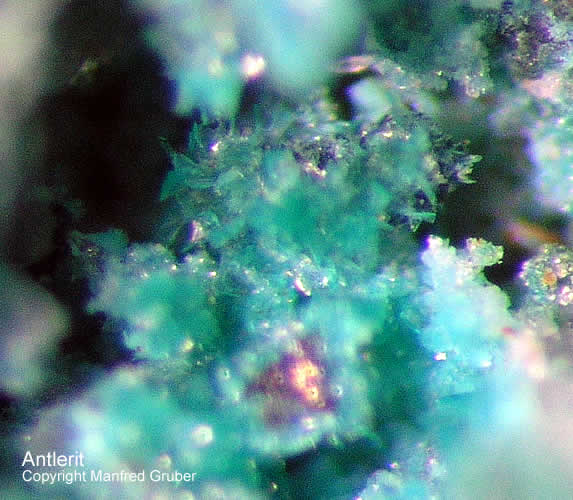 Siebengebirge Mineralien Rheinbreitbach Antlerit