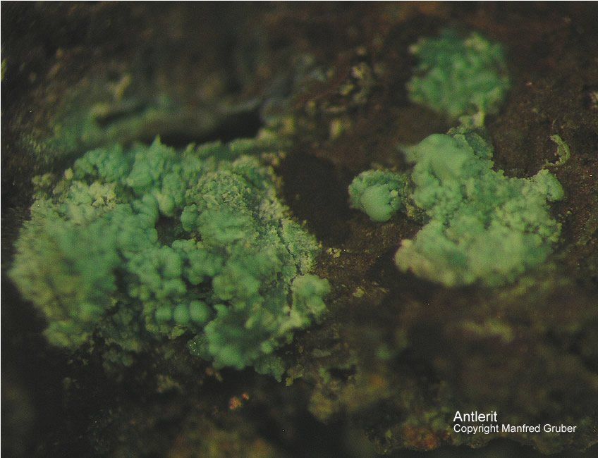 Siebengebirge Mineralien Rheinbreitbach Antlerit