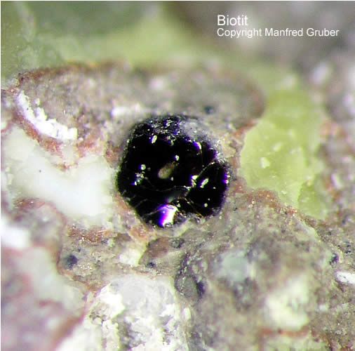 Mineralien Schwarzwald Schmiede Stollen Biotit