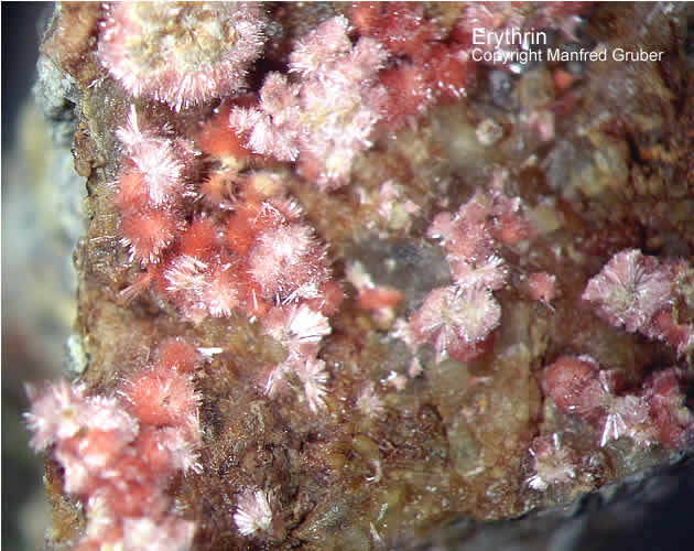 Mineralien Schwarzwald Schmiede Stollen Erythrin