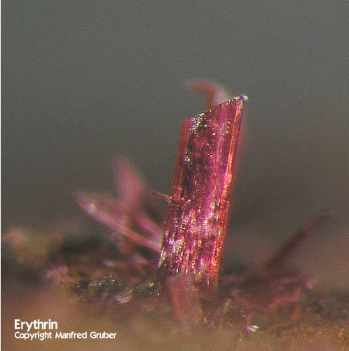Mineralien Schwarzwald Schmiede Stollen Erythrin