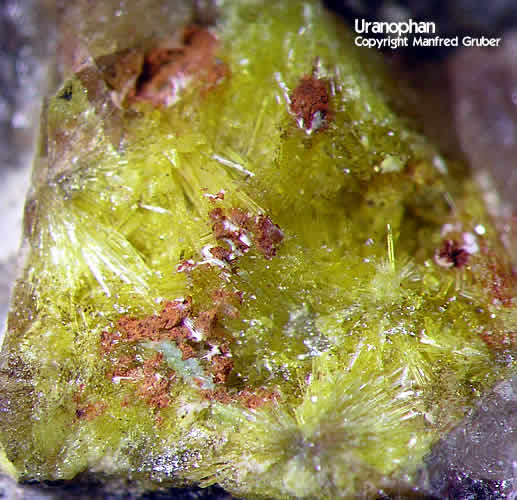 Mineralien Schwarzwald Schmiede Stollen Uranophan