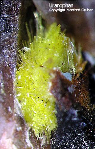 Mineralien Schwarzwald Schmiede Stollen Uranophan