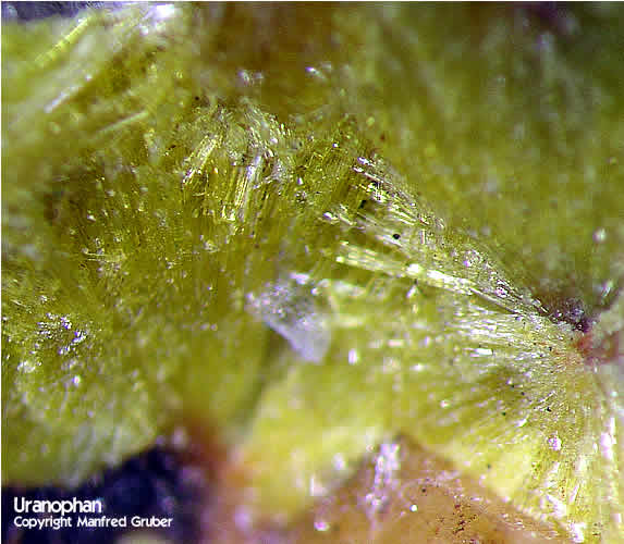 Mineralien Schwarzwald Schmiede Stollen Uranophan