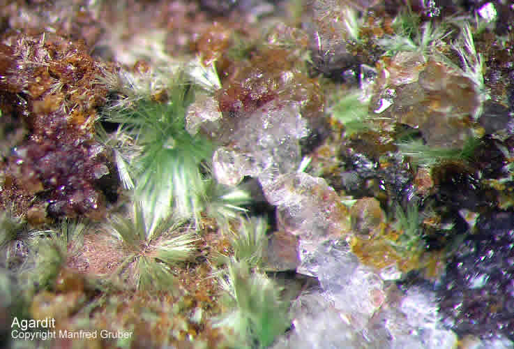 Mineralien Schwarzwald Silberbrünnle Haigerachtal Agardit