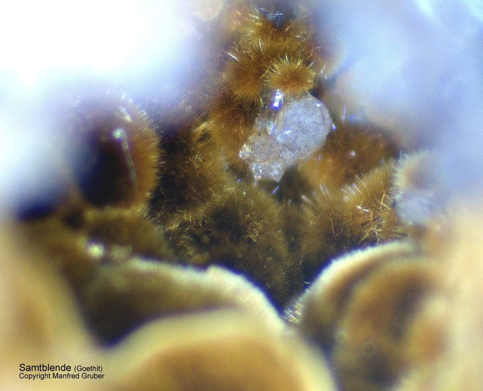 Mineralien Schwarzwald Silberbrünnle Haigerachtal Goethit