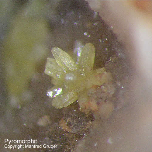 Mineralien Schwarzwald Silberbrünnle Haigerachtal Pyromorphit