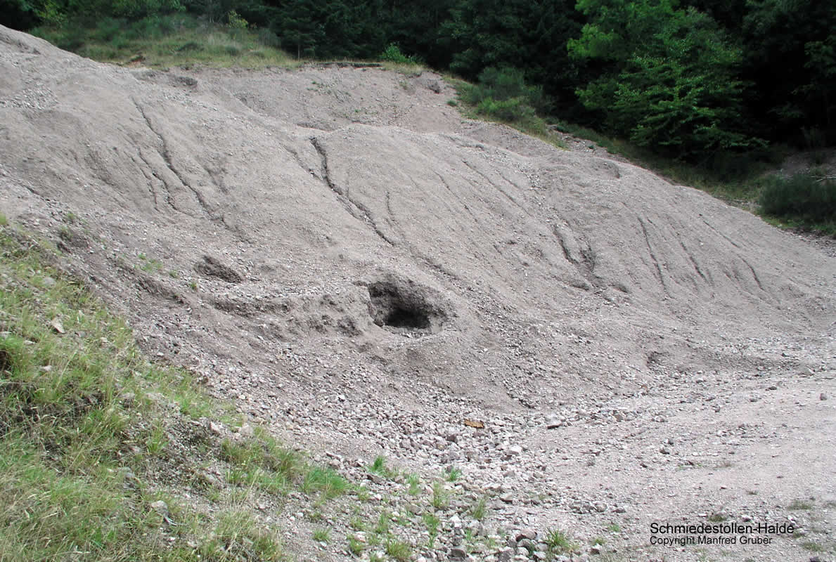 Schwarzwald Wittichen Schmiede Stollen Halde