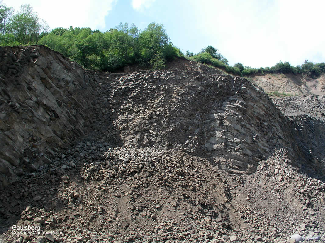 Vogelberg Mineralien Gaulsberg