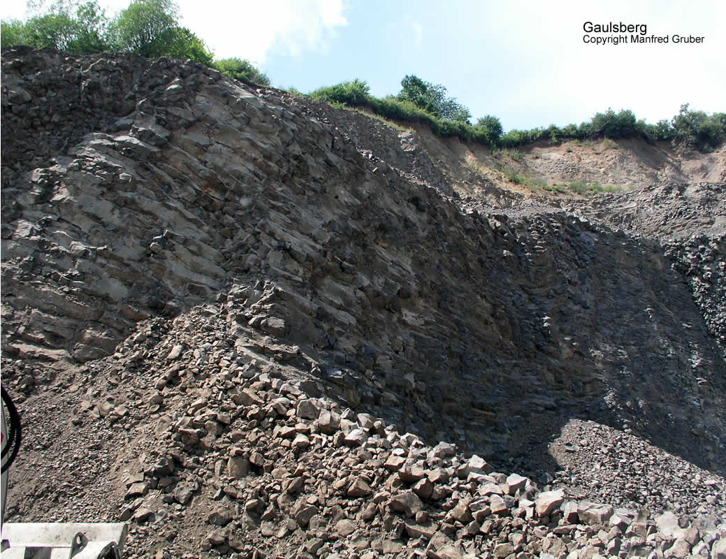 Vogelberg Mineralien Gaulsberg