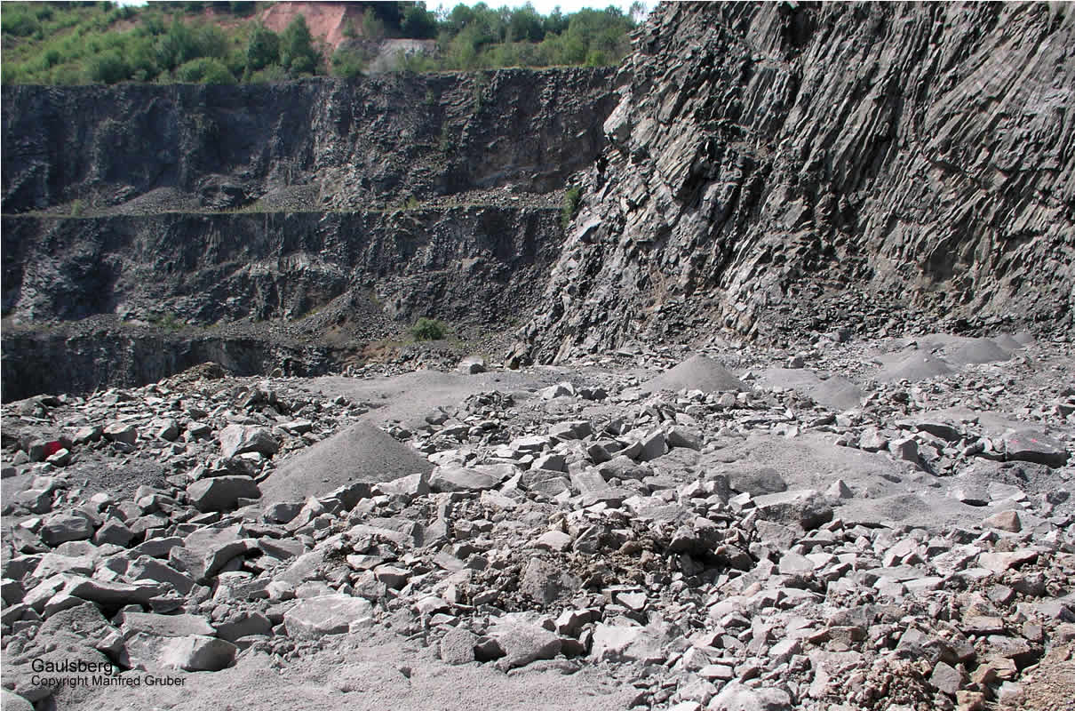 Vogelberg Mineralien Gaulsberg