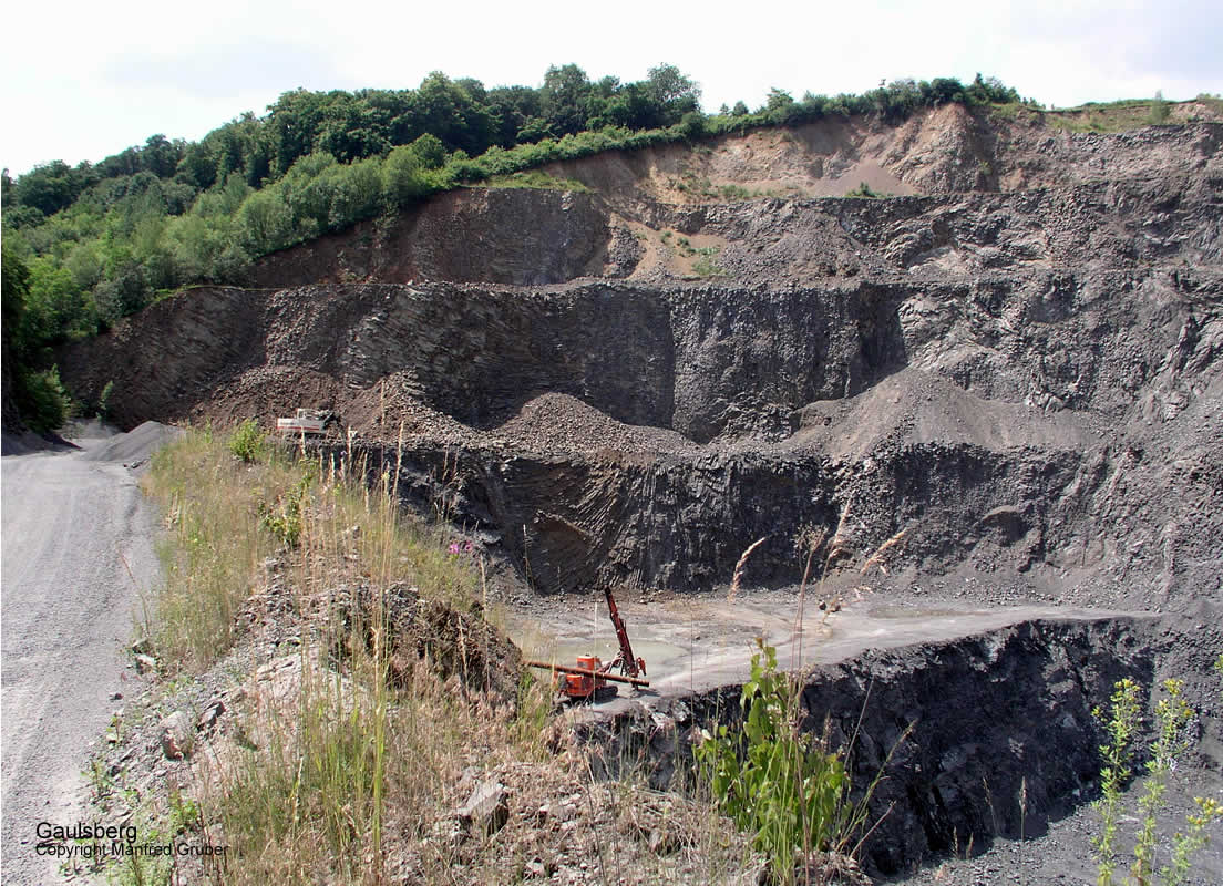 Vogelberg Mineralien Gaulsberg