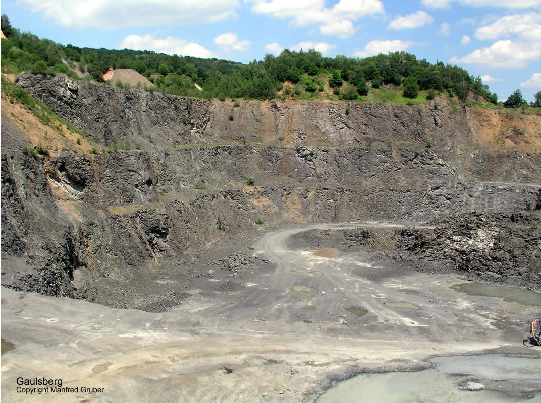 Vogelberg Mineralien Gaulsberg