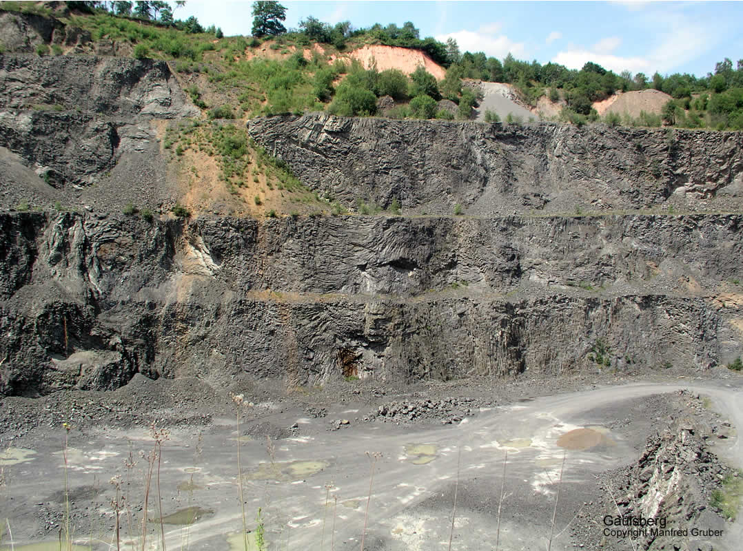 Vogelberg Mineralien Gaulsberg