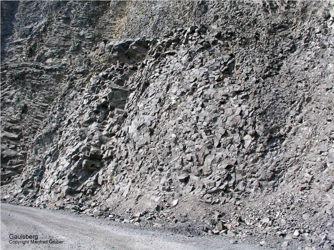 Vogelberg Mineralien Gaulsberg