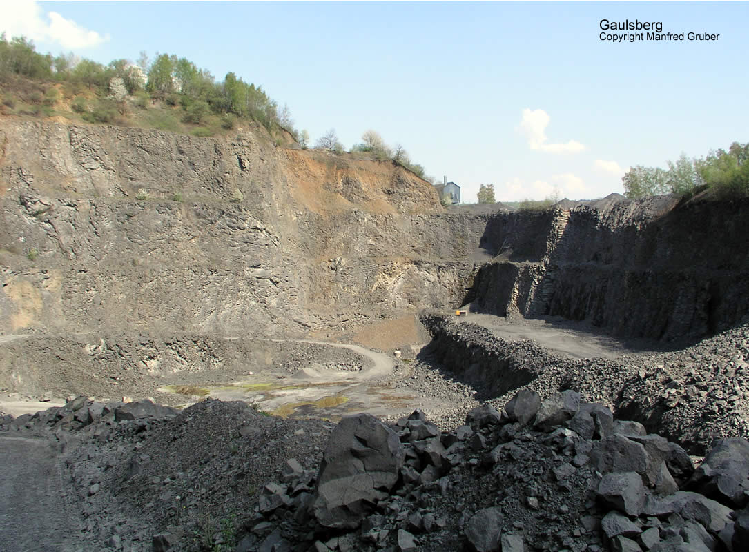 Vogelberg Mineralien Gaulsberg