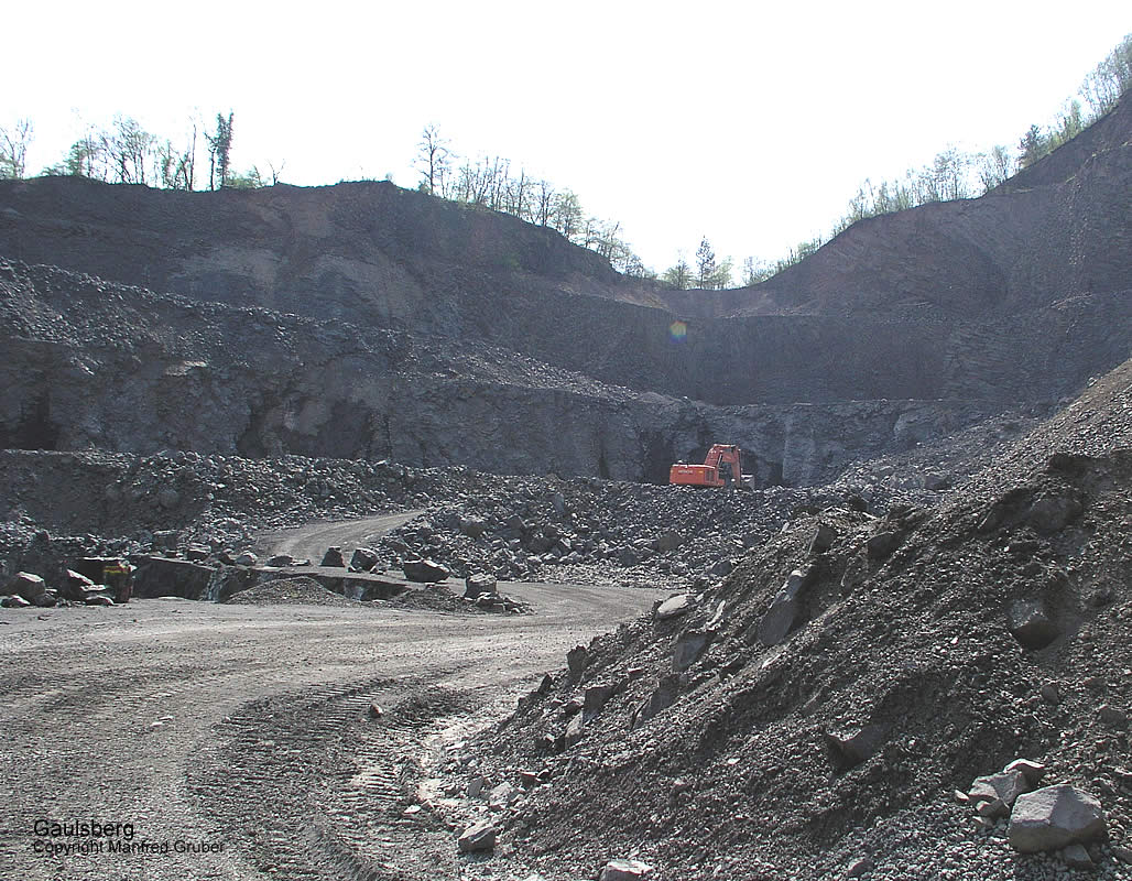 Vogelberg Mineralien Gaulsberg