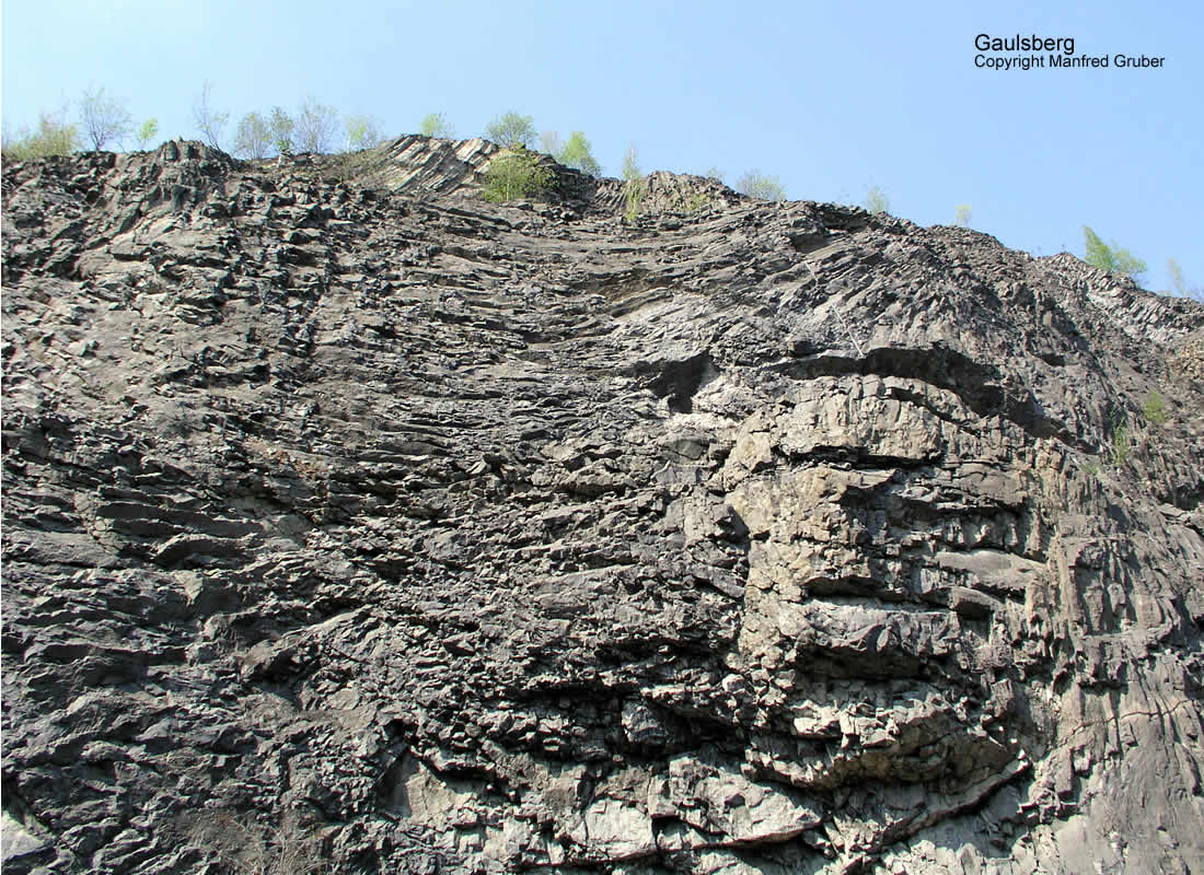 Vogelberg Mineralien Gaulsberg