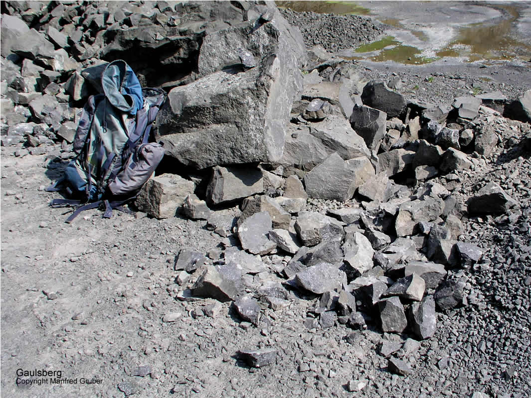 Vogelberg Mineralien Gaulsberg