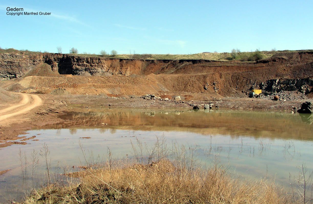 Vogelberg Mineralien Gedern
