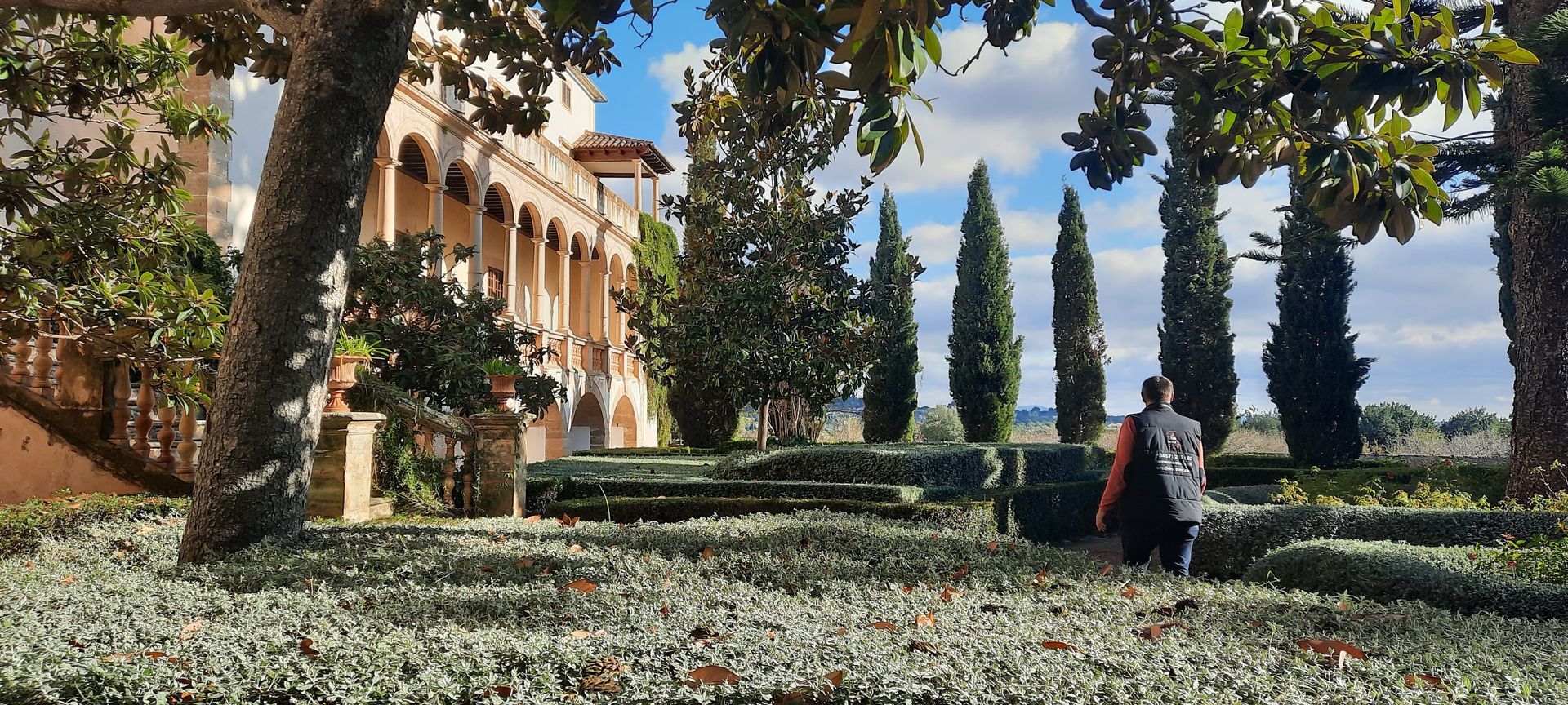 blühende Mandelbäume und Joe von Vinosenz mittdrin