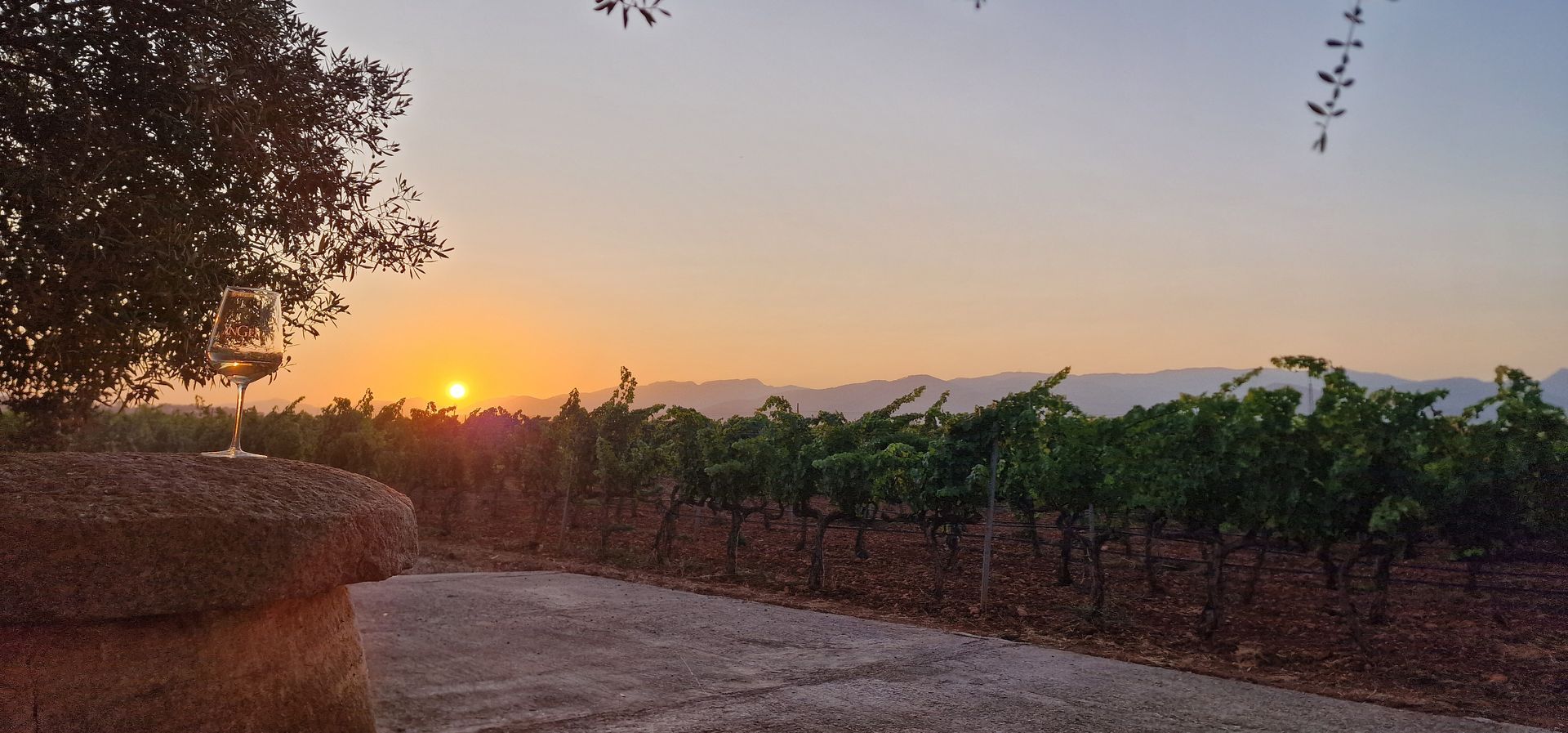 BODEGA ON FIRE Sonnenuntergang im Weinberg