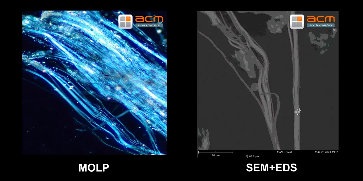 microscopia óptica y electrónica